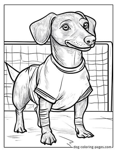 Dachshund dog coloring page - Dachshund as a goalkeeper 