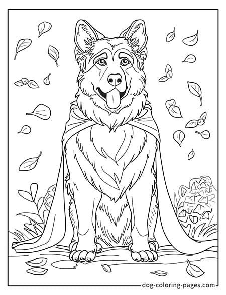 German Shepherd dog coloring page - German Shepherd in a cape 2101