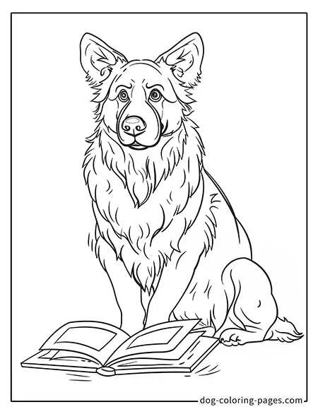 German Shepherd dog coloring page - German Shepherd reading a book 3601