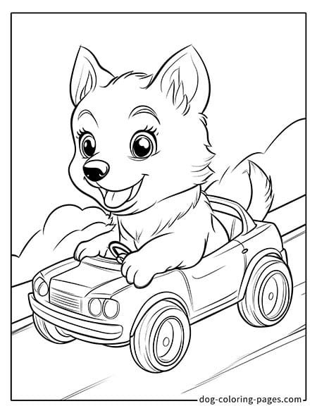 Husky dog coloring page - Husky driving a small car 2301