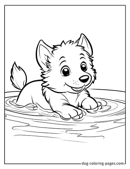 Husky dog coloring page - Husky playing in the water 2701