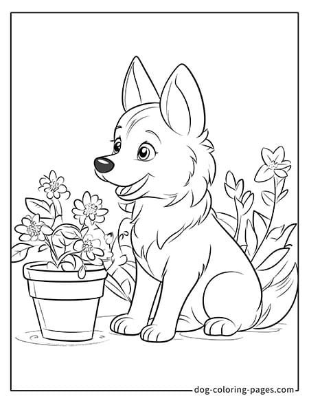 Husky dog coloring page - Husky sitting next to a flower pot 2801