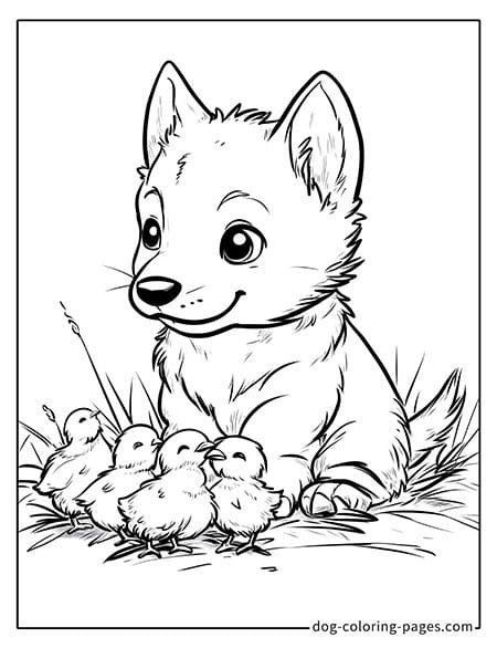 Husky dog coloring page - Husky playing with a chick 3101