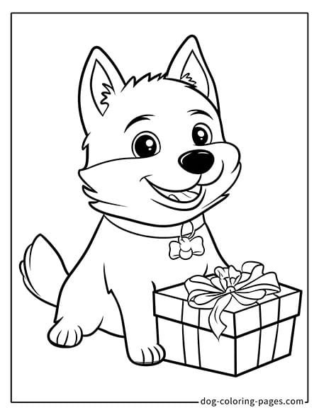 Husky dog coloring page - Husky with a gift box 3201