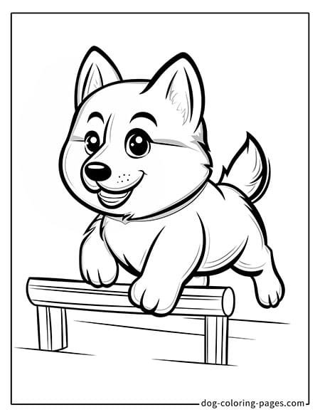 Husky dog coloring page - Husky jumping over a hurdle 3301