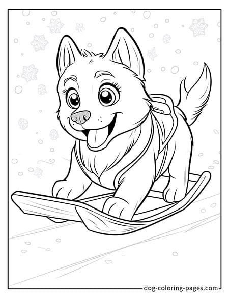 Husky dog coloring page - Husky on a sled 3401