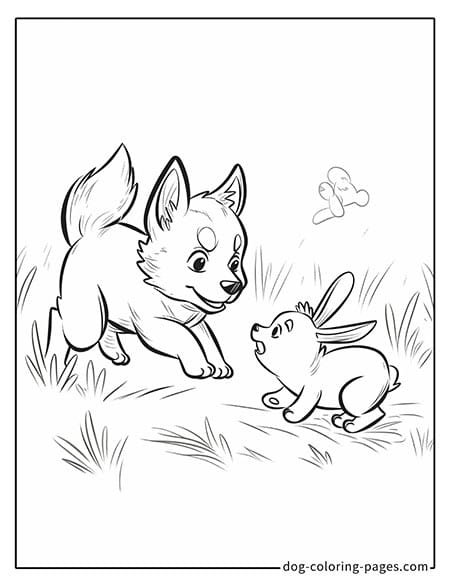 Husky dog coloring page - Husky playing with a bunny 3701