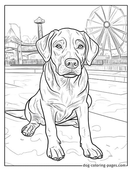 Disegni da colorare di cani labrador al parco giochi 0301