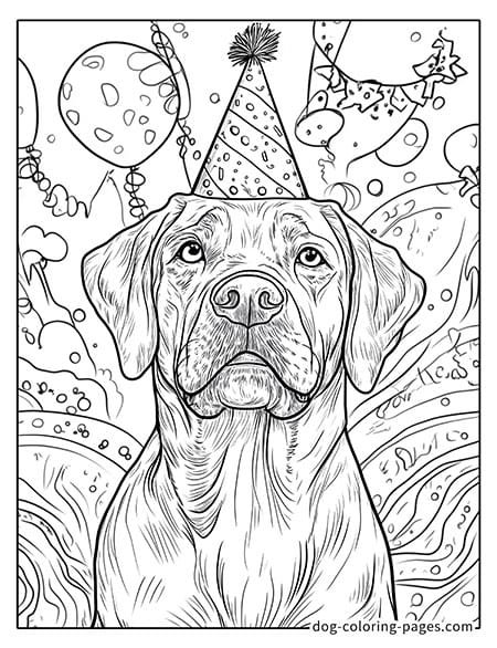 labrador dog coloring pages wearing a birthday hat 0501