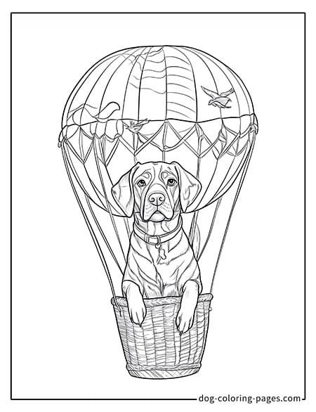 labrador dog coloring pages sitting in a hot air balloon 1101