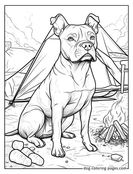 Pitbull dog coloring pages standing proudly 05