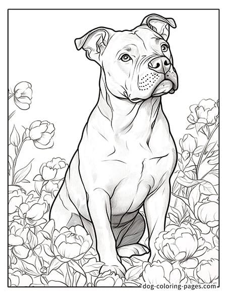 Pitbull dog coloring pages Crouching among the flowers 06