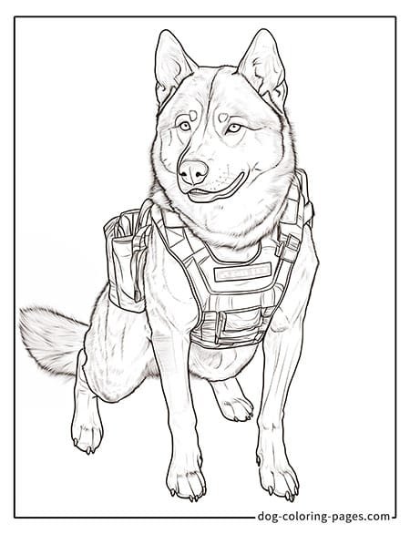 Siberian Husky police dog coloring page 08