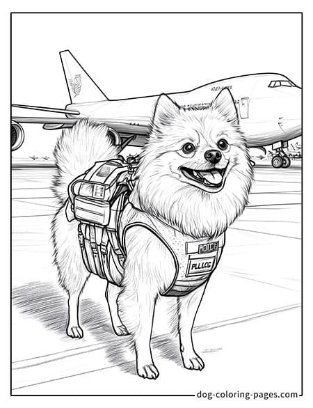 police dog coloring page standing next to an airplane 11