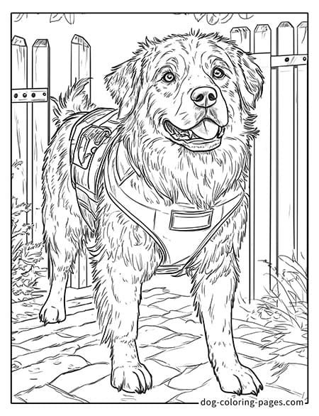 Golden retriever police dog coloring page 12