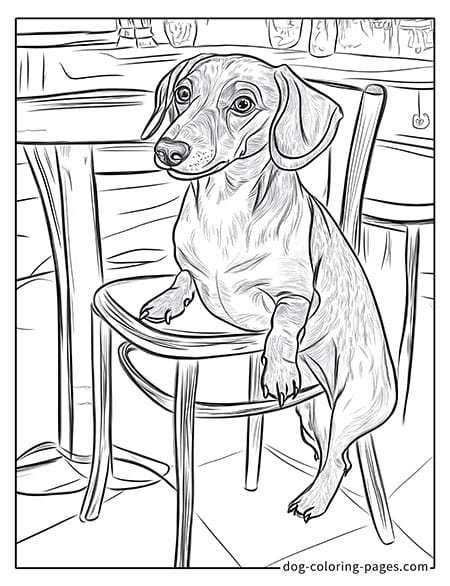 Dachshund Coloring Pages lying on a bench