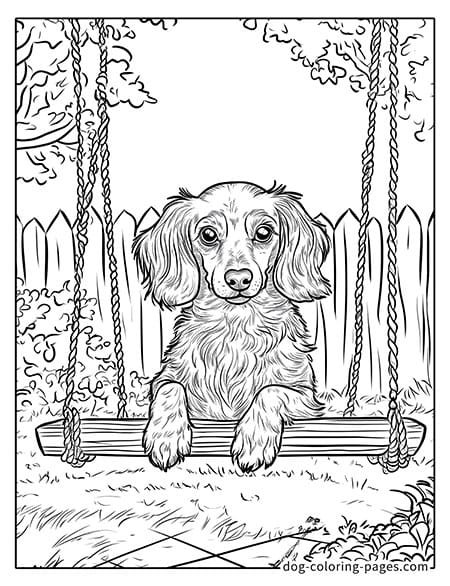 dachshund Coloring Page sitting on a swing 