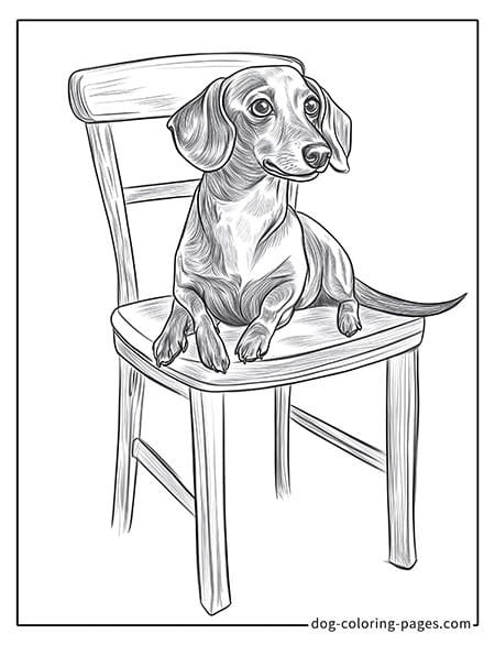 Resting Dachshund Coloring Page