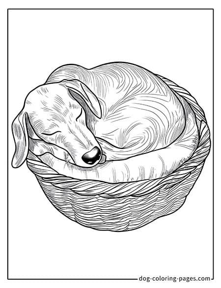 Dachshund Coloring Page in its doghouse