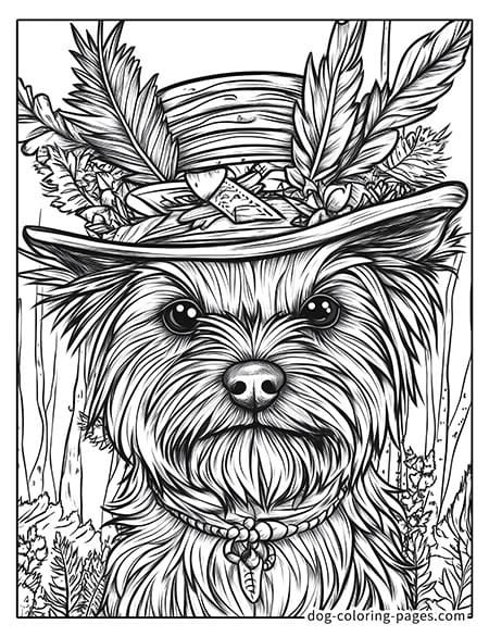 Disegni da colorare di cani yorkie con cappello 02