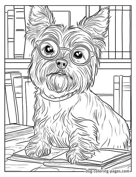 Disegni da colorare del cane yorkie che indossa gli occhiali e legge un libro 03