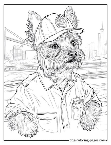 Disegni da colorare di cani yorkie che indossano un cappellino da baseball 04