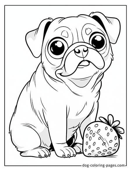 Pug coloring page - Pug sitting beside a strawberry 1301