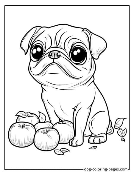 Pug coloring page - Pug sitting beside an apple 1701