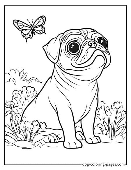 Pug coloring page - Pug with butterflies in a flower patch 1901