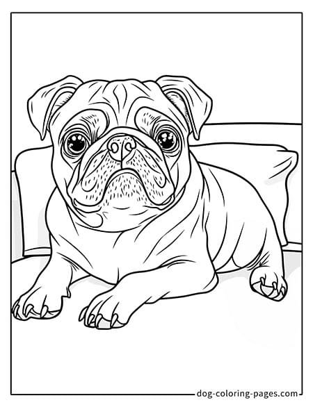 Pug coloring page - Pug lying on a sofa 2101