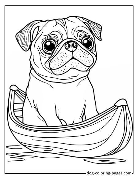 Pug coloring page - Pug sitting in a small boat 2801