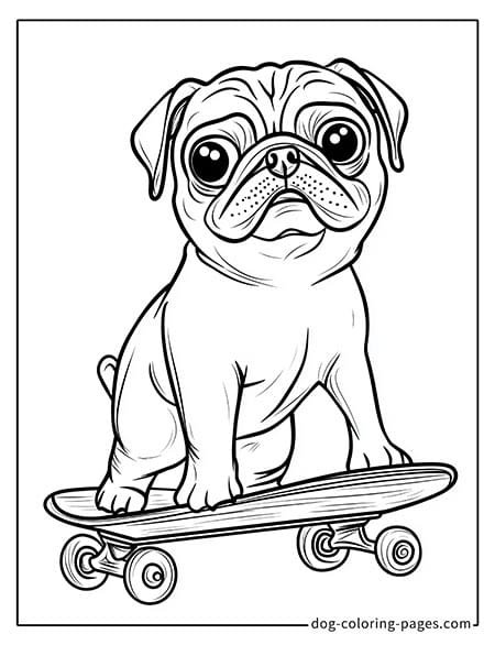 Pug coloring page - Pug riding a scooter 3101