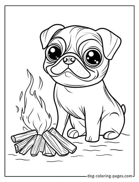 Pug coloring page - Pug roasting marshmallows by a campfire 3201