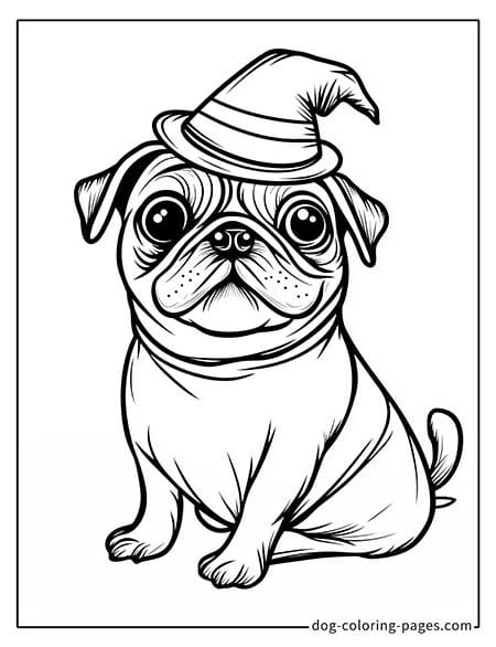 Pug coloring page - Pug wearing a wizard hat 3401