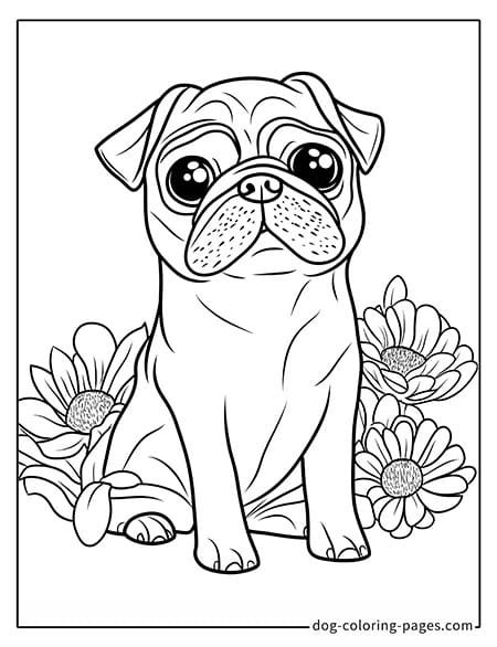 Pug coloring page - Pug sitting among flowers 3501