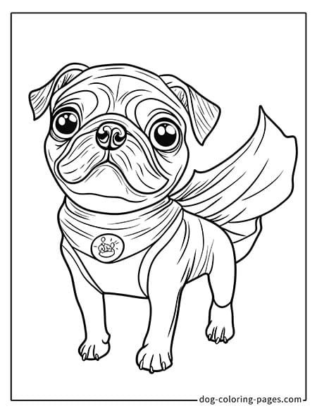 Pug coloring page - Pug flying in a superhero costume 3601