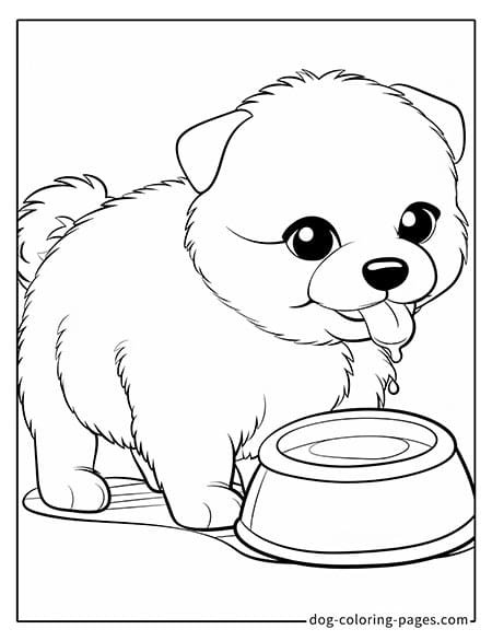 Puppy dog coloring pages - Puppy drinking water 3001