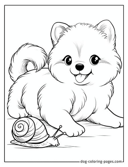 Puppy dog coloring pages - Puppy playing with a snail 4401