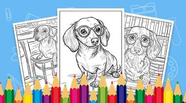 Dachshund coloring pages